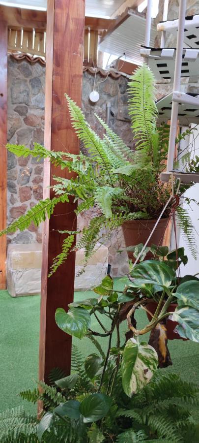 Casa El Drago-Tafira Baja Lägenhet Las Palmas de Gran Canaria Exteriör bild