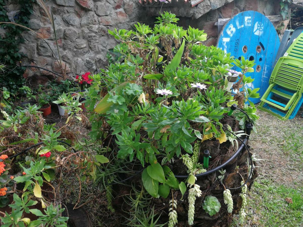 Casa El Drago-Tafira Baja Lägenhet Las Palmas de Gran Canaria Exteriör bild