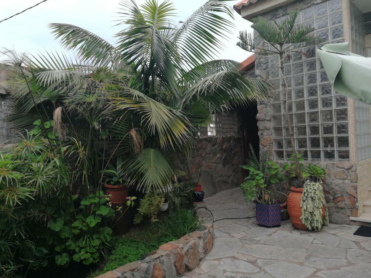 Casa El Drago-Tafira Baja Lägenhet Las Palmas de Gran Canaria Exteriör bild