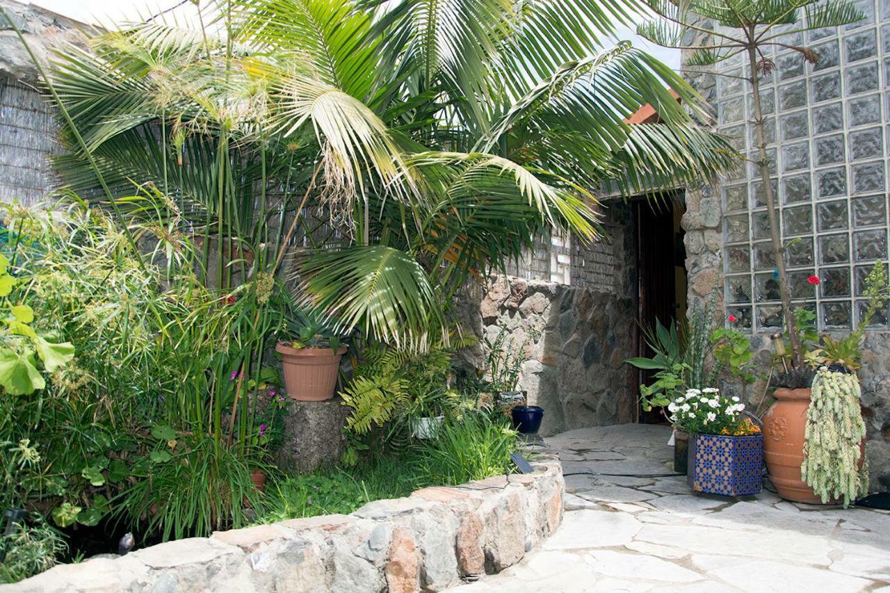 Casa El Drago-Tafira Baja Lägenhet Las Palmas de Gran Canaria Exteriör bild
